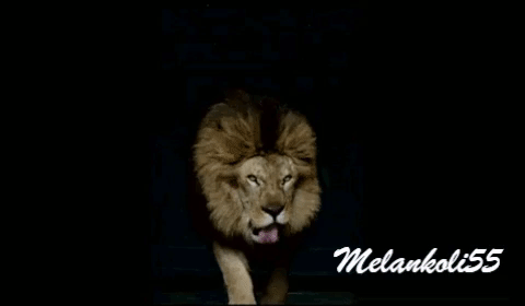 #Melankoli55