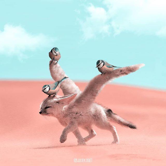 Dijital Manipülasyon Tekniğini Kullanarak Hayvanların Fotoğraflarını Editleyen Sanatçıdan Çok Güzel 10 Çalışma!