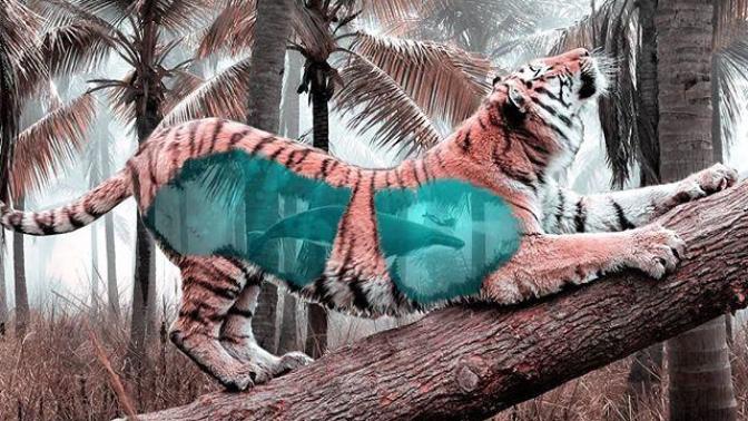 Dijital Manipülasyon Tekniğini Kullanarak Hayvanların Fotoğraflarını Editleyen Sanatçıdan Çok Güzel 10 Çalışma!