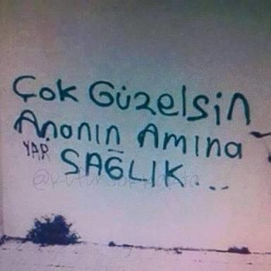 Platonik Aşıkların Duvarlarda Duygularını Canlandırdığı Samimi Yazılar Nelerdir?