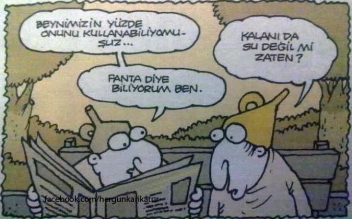 Felsefeye İlgi Duymaya Başlayan Kişilerin Önemsemediği Şeyler
