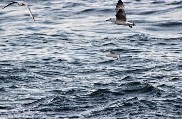 Fotoğraf Çekmenin Keyfini Canon İle Çıkarın! Çok Memnun Kaldığım Fotoğraf Makinem: Canon EOS 750D