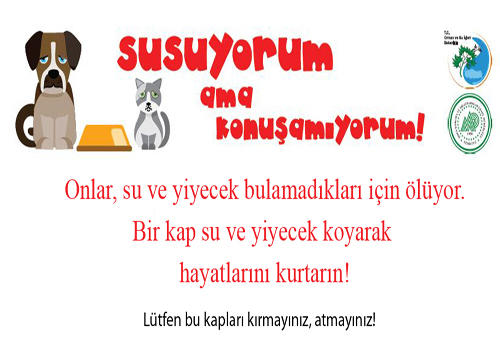Sokaktaki Dostlarımızı Unutmayalım! Onlara Yardım İçin Öneriler