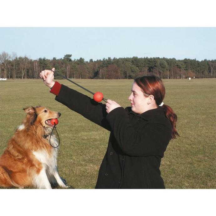 Karlie Köpek Oyuncağı Top Fırlatma