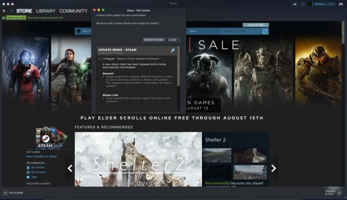 Steam Türkçe ve Türk Lirası ile satış yapıyor