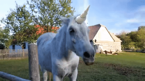 Unicorn'u kim sevmez ki?