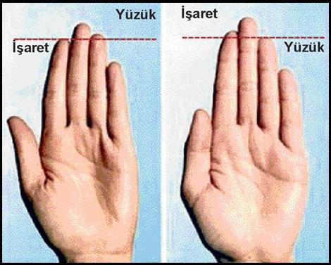 Vücudumuz Hakkında Kulağa İlginç Gelen Bilgiler!