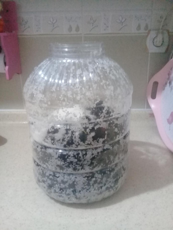 Kahvaltıların Kara Çocuğu, Gönlümüzün Siyahi Prensi Siyah Zeytin Evde Nasıl Yapılır?