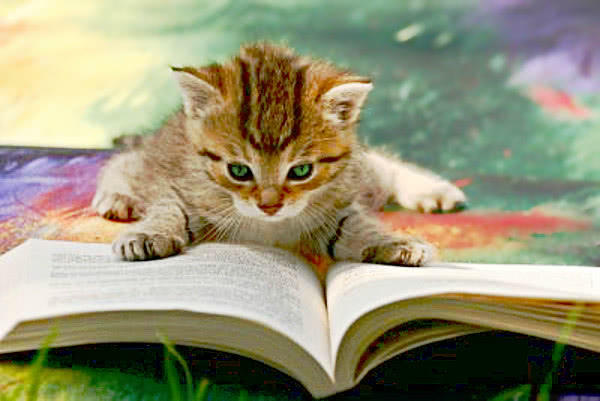 Oyun oynama, kitap oku..