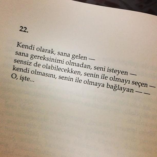 HANİ , 1993