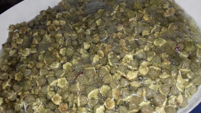 Ne Yemek Yapsam Diye Düşünmeyin: Etli Bamya Çorbası Tarifi