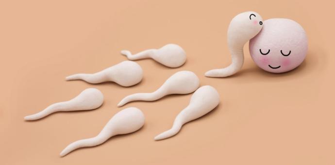 Sperm