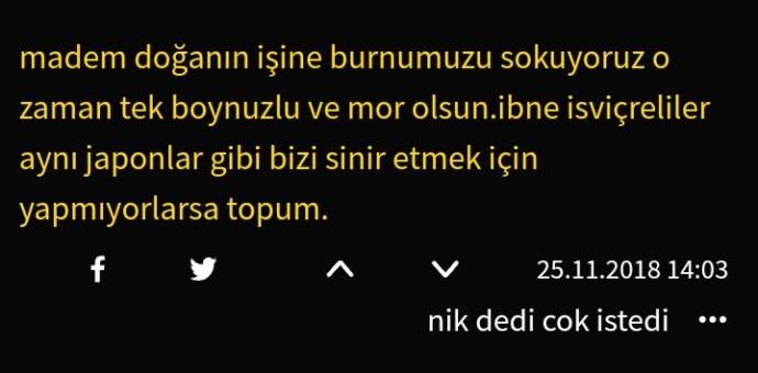 Onların Derdi Dünyayı Fena Gerdi: İnekler Boynuzlu mu Olsun, Boynuzsuz mu? Diye Referanduma Giden İsviçre Dünyamızı Şaşırttı