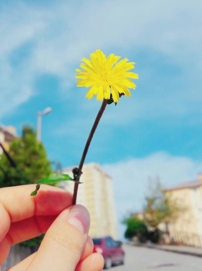 Doğayı seviyorum... <3