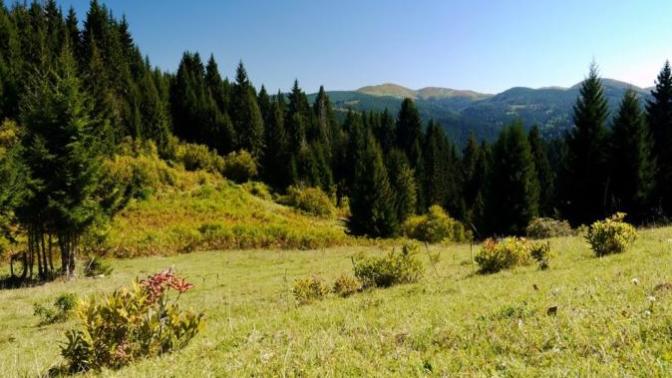 9 Doktora Bedel: Ordu Çambaşı Yaylası