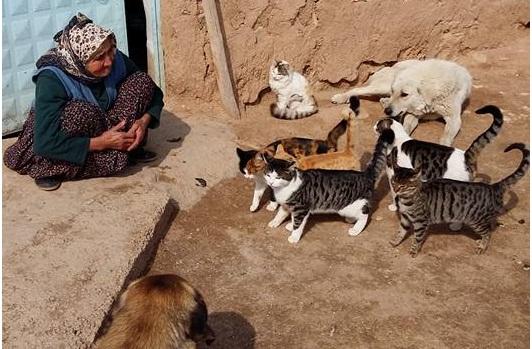 Sevgi Nedir, Sevginin Tanımı Nasıl Yapılır?