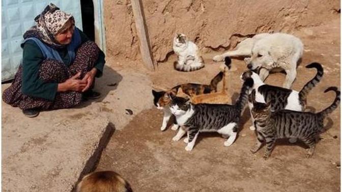 Sevgi Nedir, Sevginin Tanımı Nasıl Yapılır?