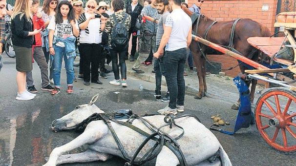 Ağzı Var Dili Yokların Hakları!