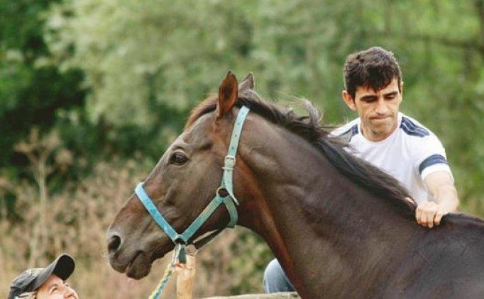 Sahibinin Merkez Bankasını Verseler Satmam Dediği Şampiyon At: Bold Pilot Efsanesine Dair Her şey