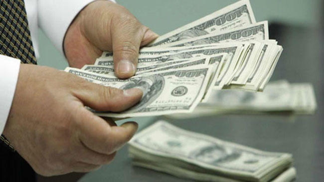 Sahibinin Merkez Bankasını Verseler Satmam Dediği Şampiyon At: Bold Pilot Efsanesine Dair Her şey