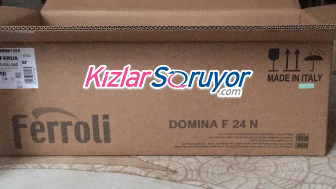 Ferroli Domina F24 N