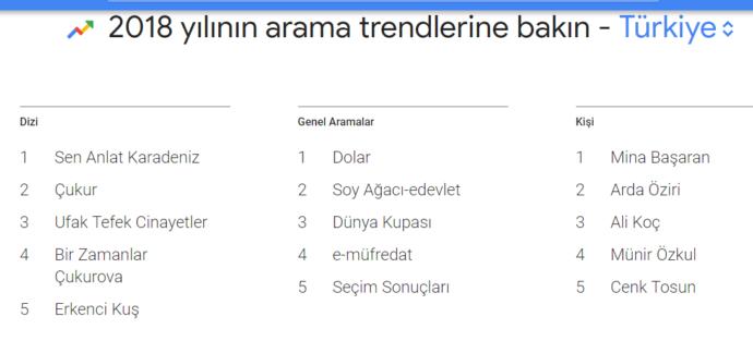 Türkiye Arama Trendleri