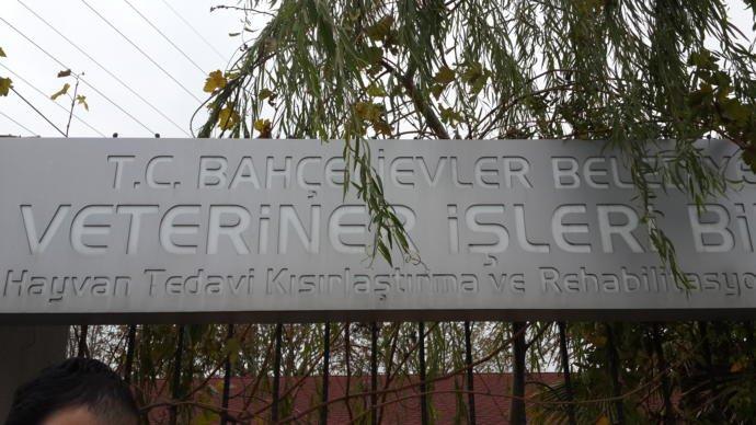 Bahçelievler Hayvan Barınağı ve Rehabilitasyon Merkezi