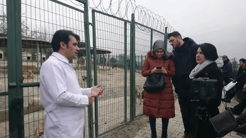 Bağcılar barınağı veteriner hekimin konuşması