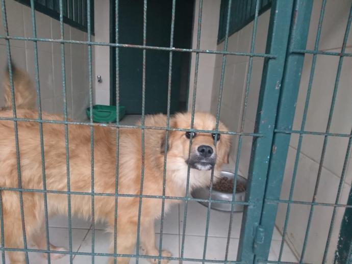 KizlarSoruyor Ailesi Ve Hacı Şerif Olarak Patili Dostlarımızı Ziyaret Edip Sevgi Ve Mama Dağıttık!