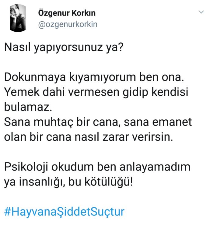 Şiddeti Kısmi Betimleyen Kelime:
