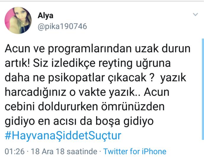 Şiddeti Kısmi Betimleyen Kelime: