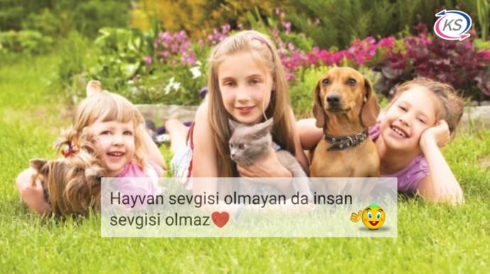 Şiddeti Kısmi Betimleyen Kelime: