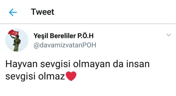 Şiddeti Kısmi Betimleyen Kelime: