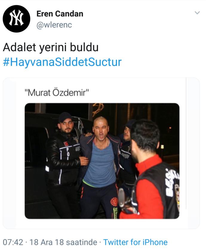 Şiddeti Kısmi Betimleyen Kelime: