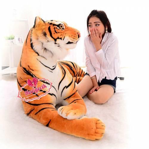 1) Ayı sevmiyorsa kaplanı deneyebilirsiniz