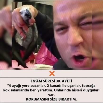 MasterChef Murat Özdemir'in İşkence Yaptığı Papağan Öldü!