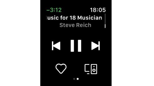 Spotify Ana Ekran