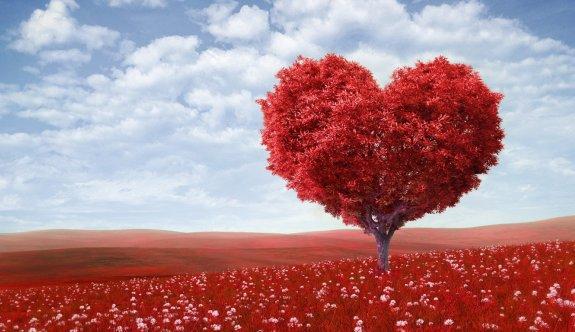 Her ayrılık sonbahar gibidir, yaklaştığı zaman kol kanat kırılmaya, yapraklar dökülmeye başlar.