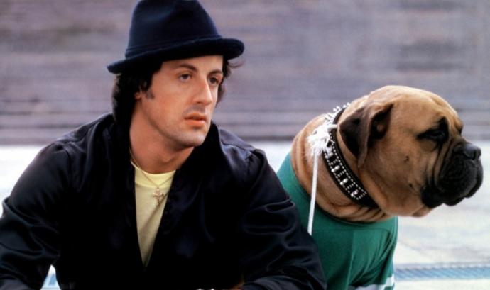 Sylvester Stallone: Hayallerinin Ötesinde Gerçek Bir Başarı Hikayesi