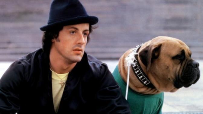 Sylvester Stallone: Hayallerinin Ötesinde Gerçek Bir Başarı Hikayesi