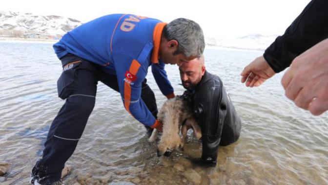Dalgıç Polis Donmuş Göle Girerek Ölmek Üzere Olan Köpeği Kurtardı