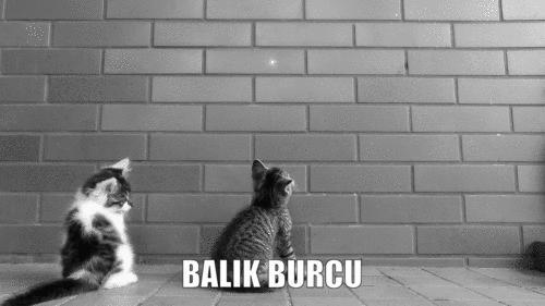 Burcuna Göre Çevreni Kıskandıran Özelliklerin Nelerdir?