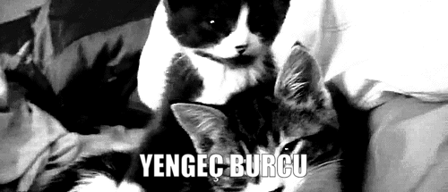 Burcuna Göre Çevreni Kıskandıran Özelliklerin Nelerdir?