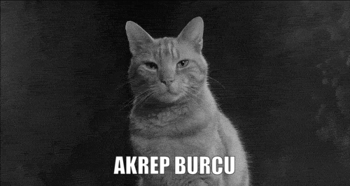 Burcuna Göre Çevreni Kıskandıran Özelliklerin Nelerdir?