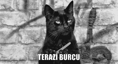 Burcuna Göre Çevreni Kıskandıran Özelliklerin Nelerdir?