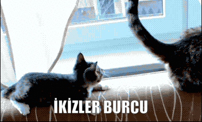 Burcuna Göre Çevreni Kıskandıran Özelliklerin Nelerdir?
