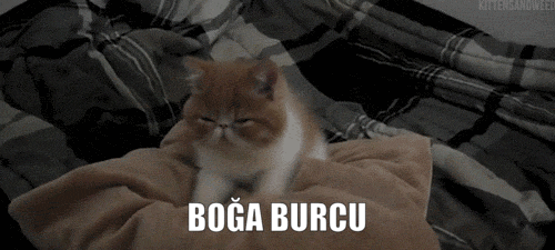 Burcuna Göre Çevreni Kıskandıran Özelliklerin Nelerdir?