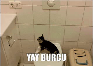 Burcuna Göre Çevreni Kıskandıran Özelliklerin Nelerdir?