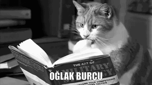 Burcuna Göre Çevreni Kıskandıran Özelliklerin Nelerdir?