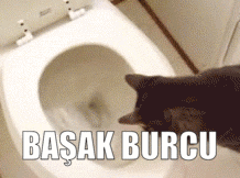 Burcuna Göre Çevreni Kıskandıran Özelliklerin Nelerdir?